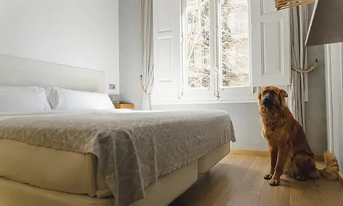 Habitación Cosmopolitan Boutique Rambla Pet Friendly