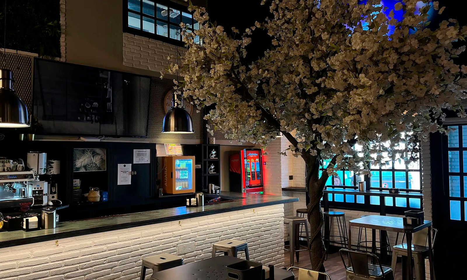 Planta Baja Bar 44 Vintage