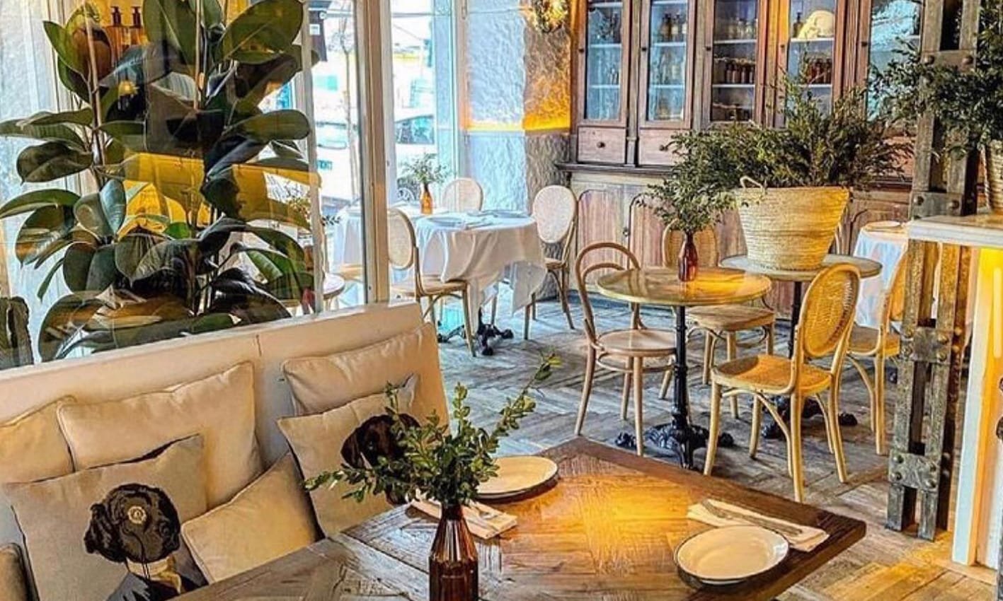 Salón El Perro y la Galleta