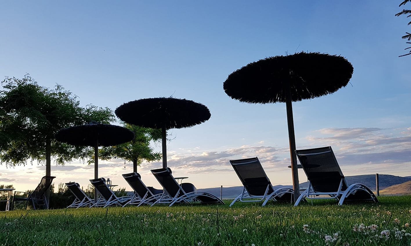 jardin cardamomo